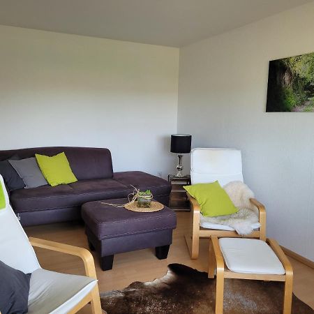 Ferienwohnung Kraichgaublick Angelbachtal エクステリア 写真