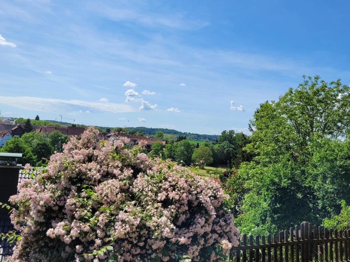 Ferienwohnung Kraichgaublick Angelbachtal エクステリア 写真